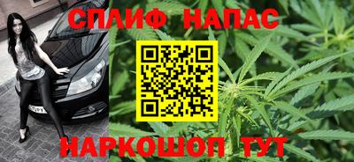 гашик Кимры