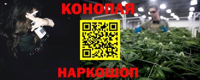 гашик Кимры