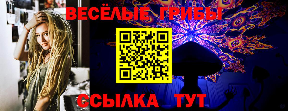 Галлюциногенные грибы GOLDEN TEACHER  Вход с VPN  Красногорск  Галлюциногенные грибы мухоморы 